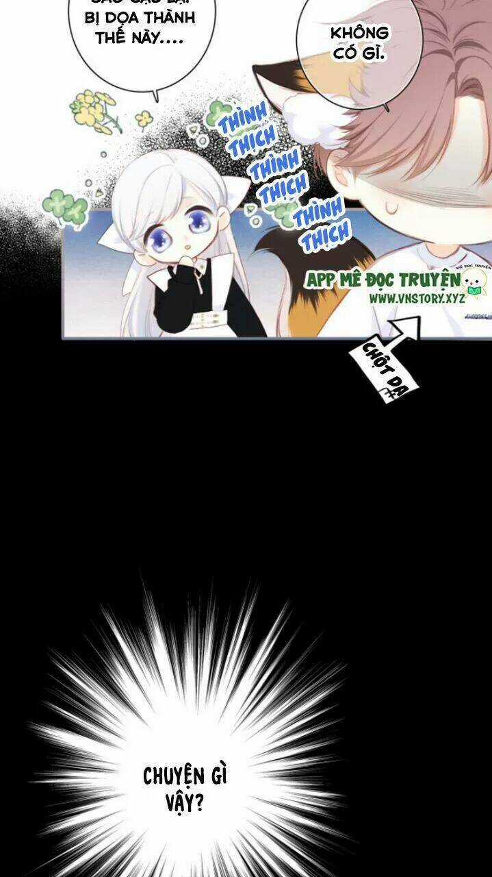 Con Tim Rung Động 2 - Chapter 128 - Trang 14