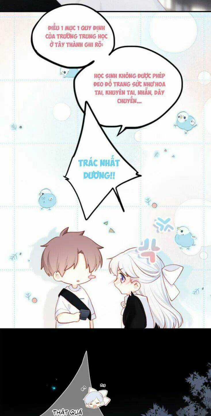 Con Tim Rung Động 2 - Chapter 135 - Trang 19