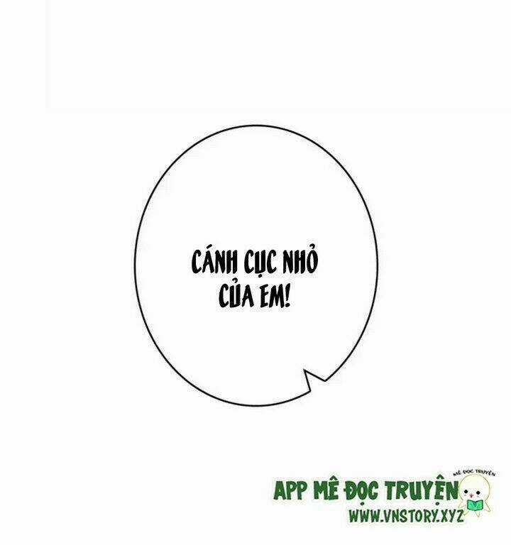 Con Tim Rung Động 2 - Chapter 14 - Trang 3