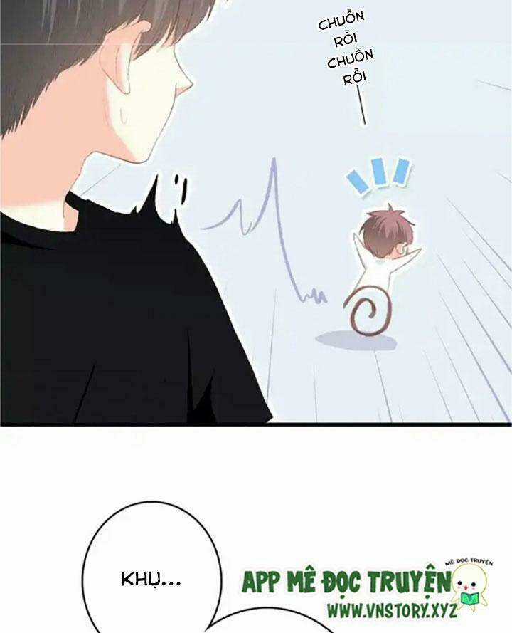 Con Tim Rung Động 2 - Chapter 34 - Trang 43