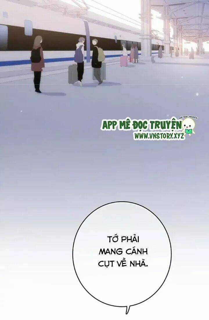 Con Tim Rung Động 2 - Chapter 62 - Trang 3