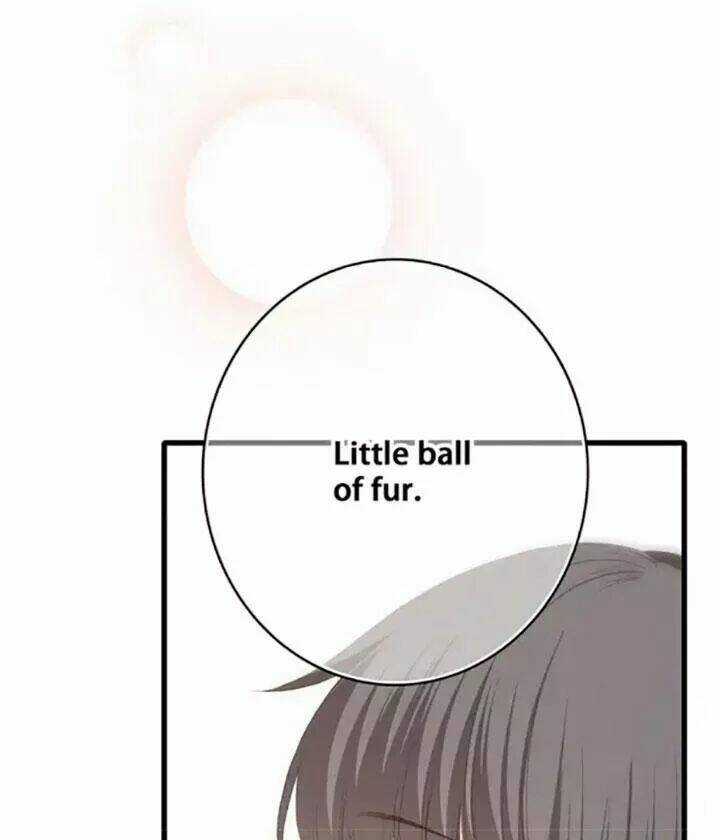 Con Tim Rung Động 2 - Chapter 62 - Trang 84