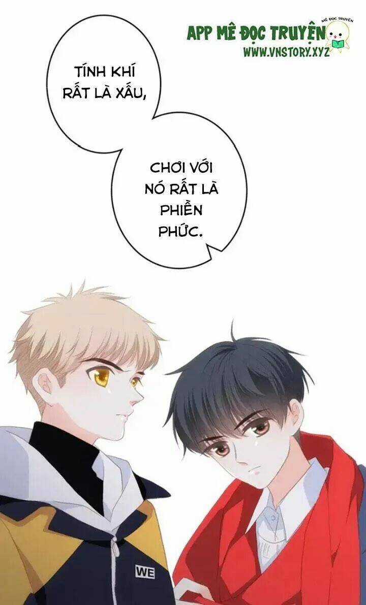 Con Tim Rung Động 2 - Chapter 67 - Trang 46