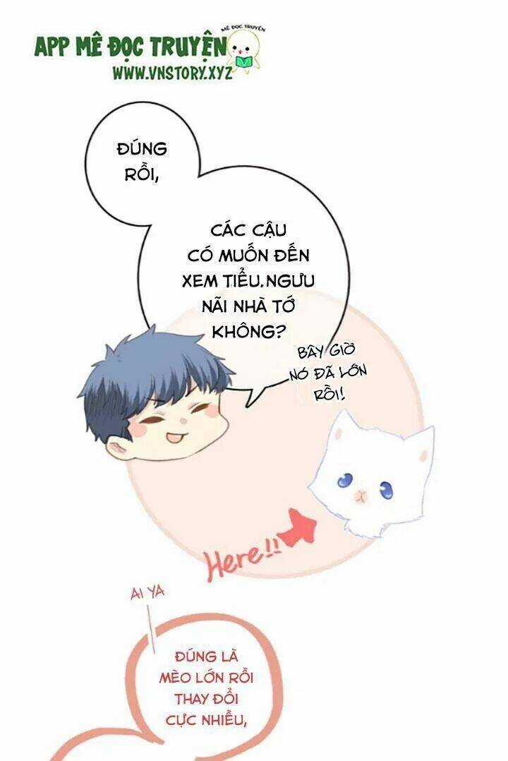 Con Tim Rung Động 2 - Chapter 78 - Trang 22