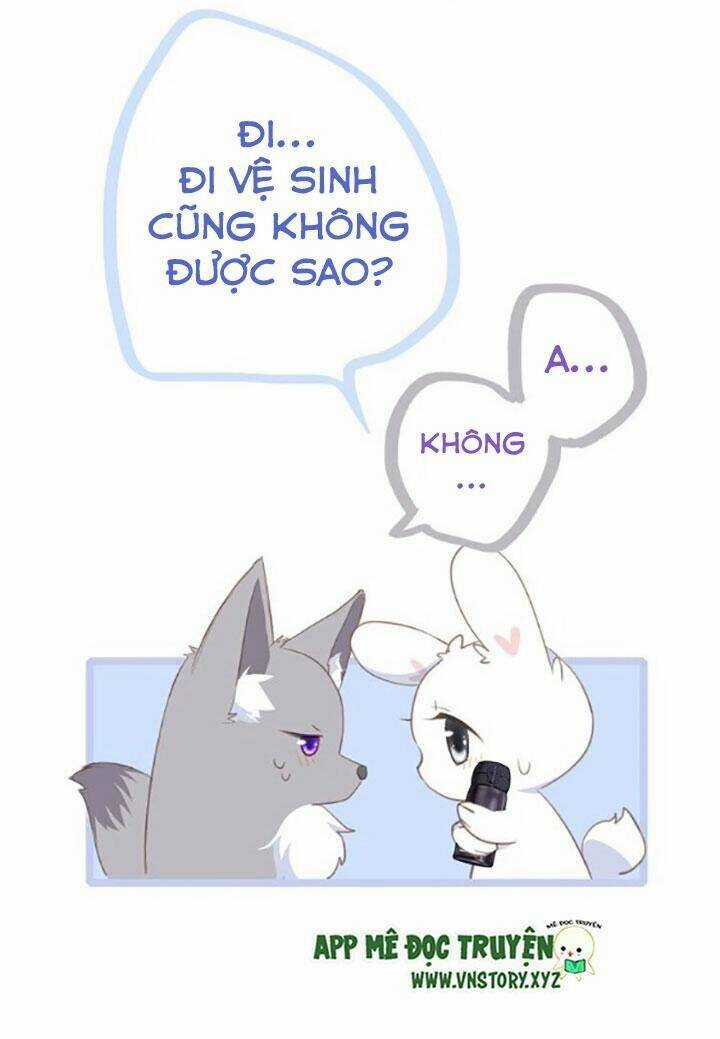 Con Tim Rung Động 2 - Chapter 81 - Trang 44