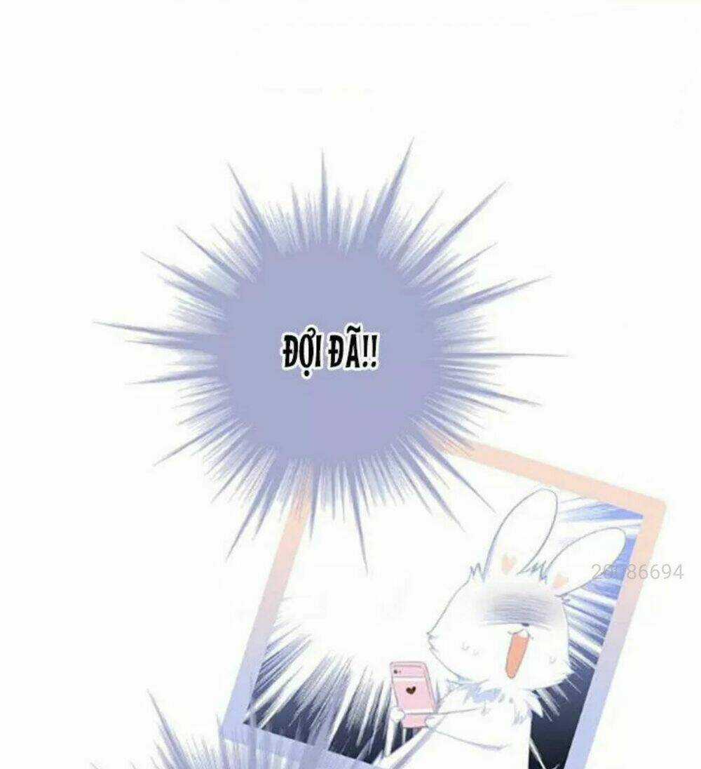 Con Tim Rung Động 2 - Chapter 84 - Trang 17