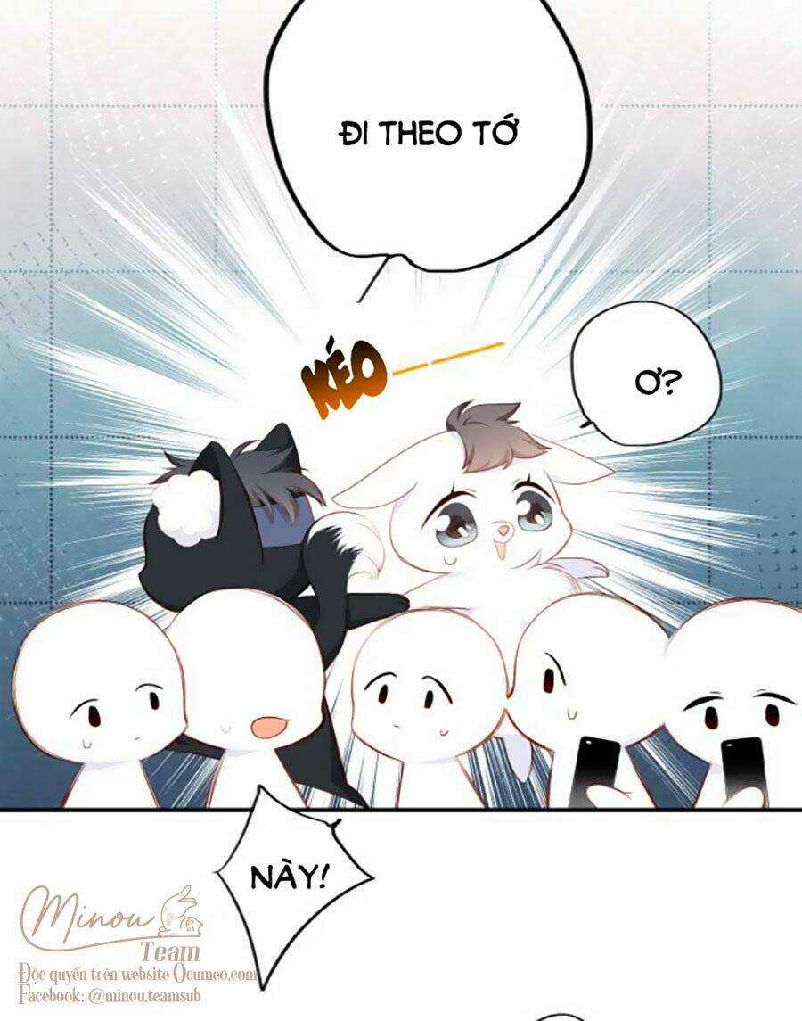 Con Tim Rung Động 3 - Chapter 11 - Trang 13