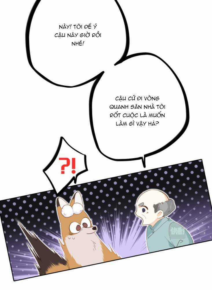 Con Tim Rung Động 3 - Chapter 27 - Trang 23