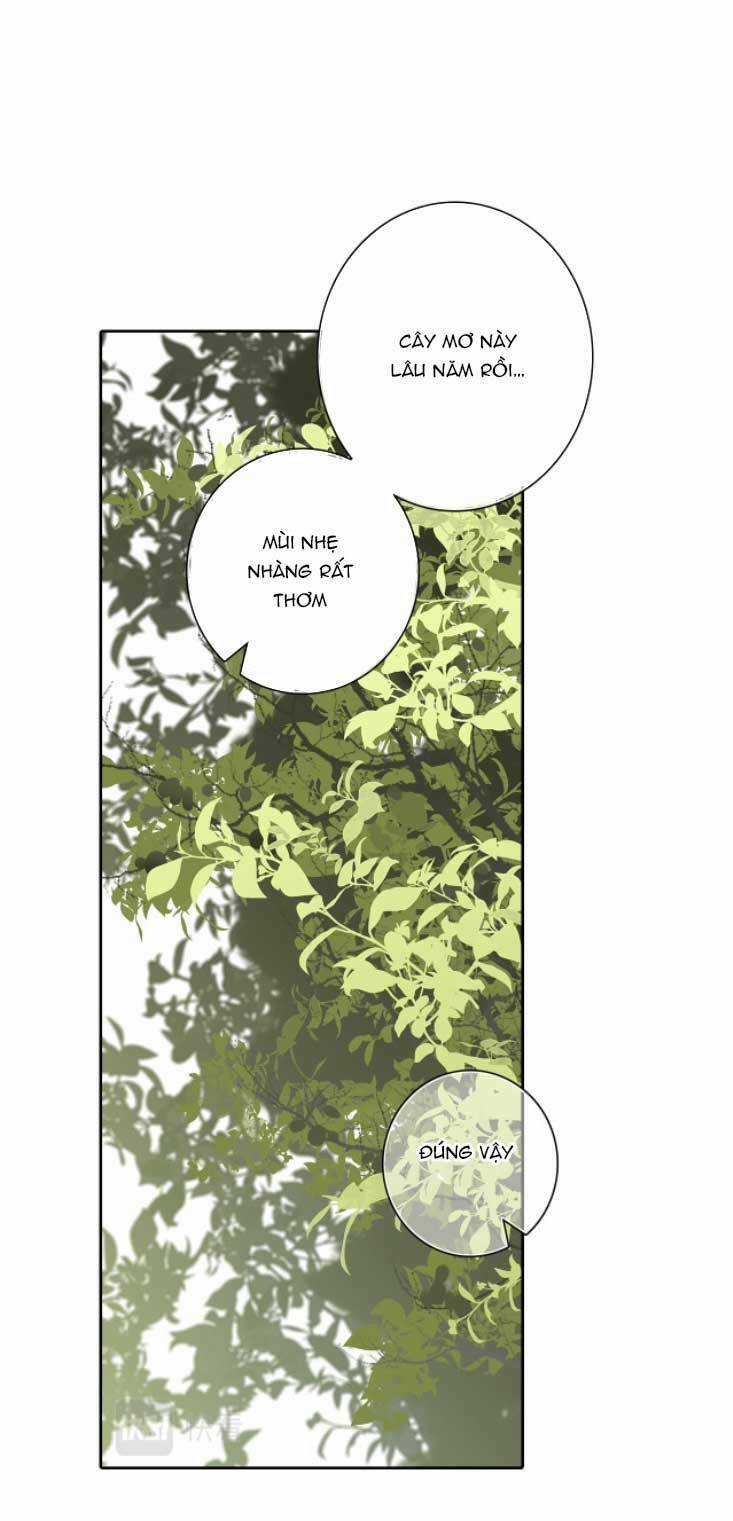 Con Tim Rung Động 3 - Chapter 27 - Trang 26