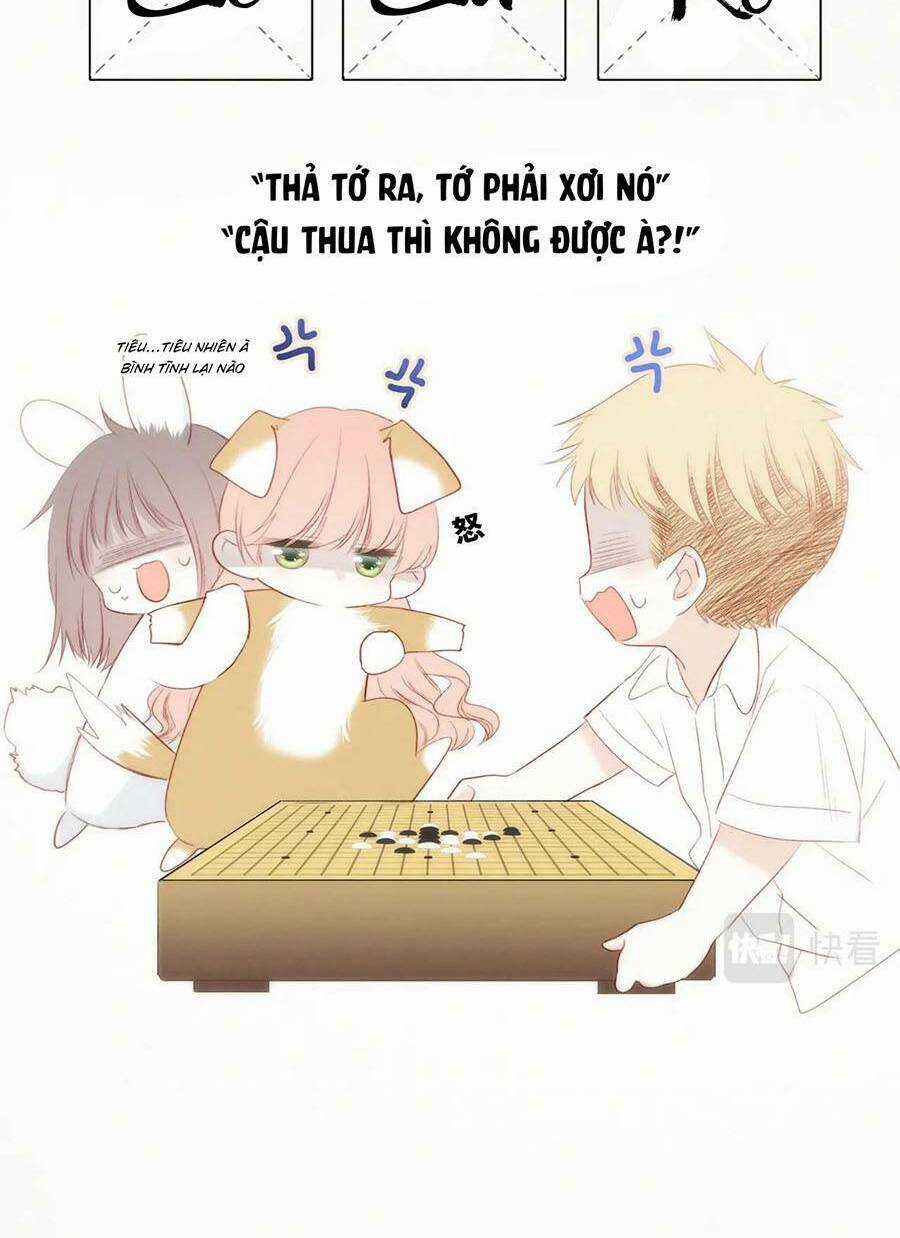 Con Tim Rung Động 3 - Chapter 30.1 - Trang 5