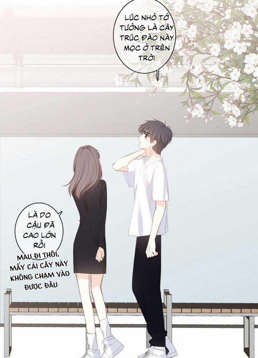 Con Tim Rung Động 3 - Chapter 33 - Trang 15