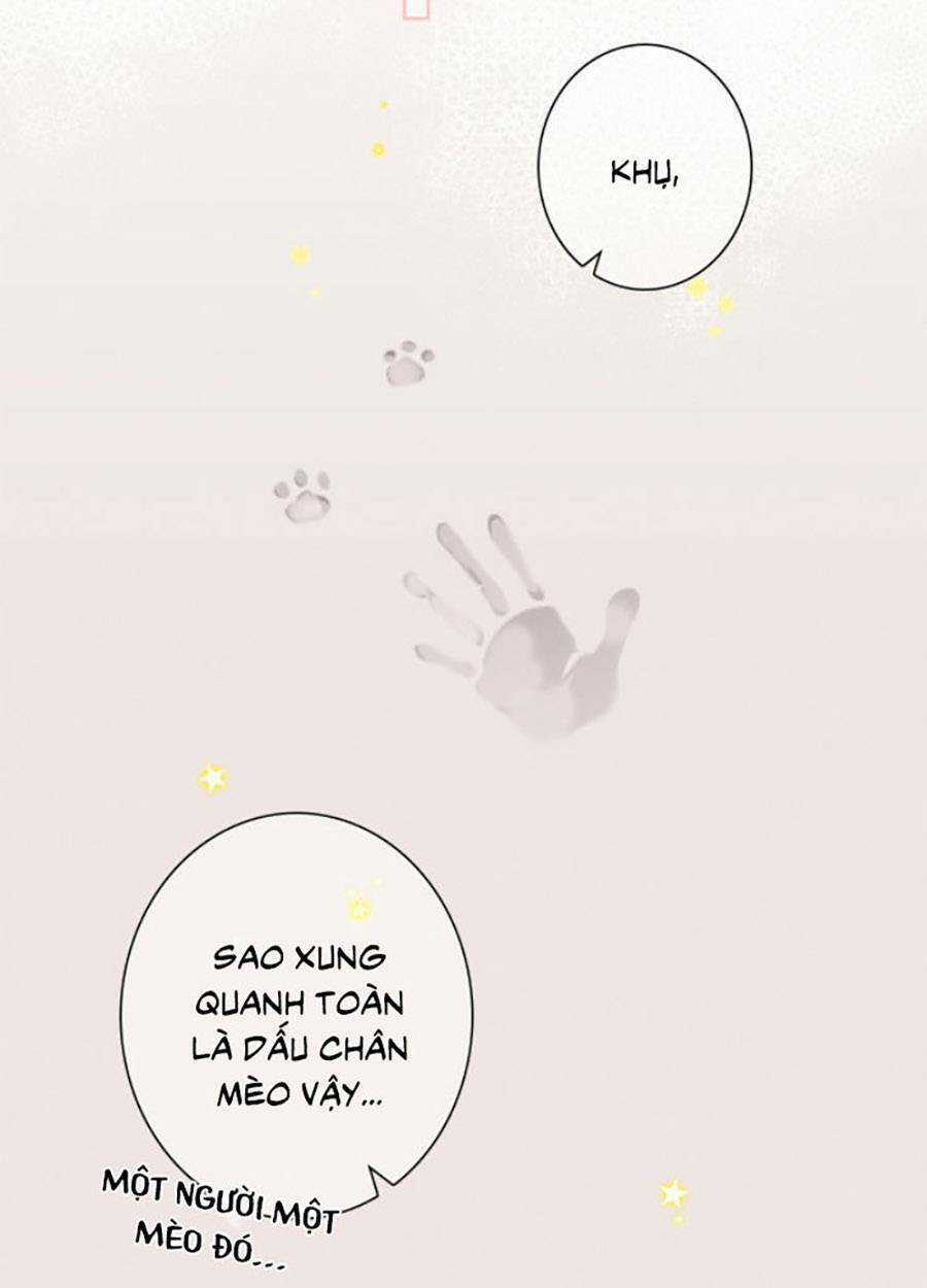 Con Tim Rung Động 3 - Chapter 33 - Trang 21