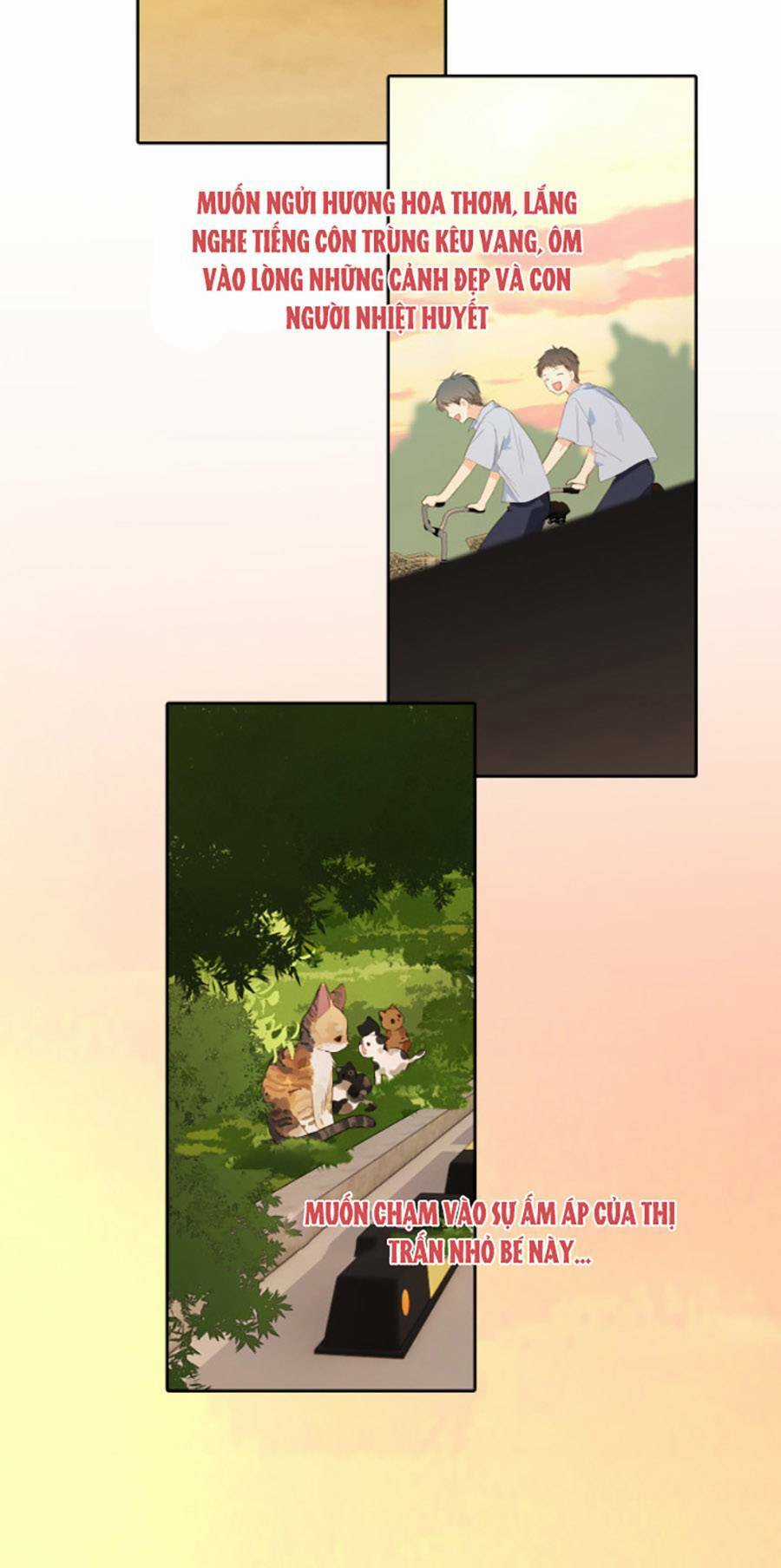 Con Tim Rung Động 3 - Chapter 34 - Trang 6