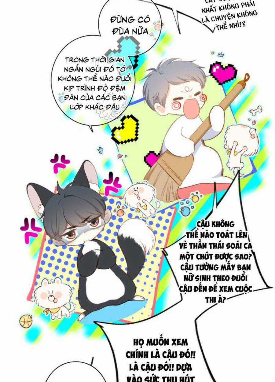 Con Tim Rung Động 3 - Chapter 35 - Trang 6