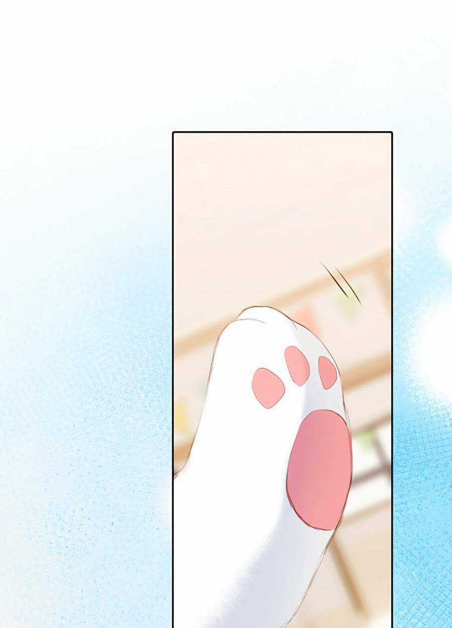 Con Tim Rung Động 3 - Chapter 37 - Trang 44