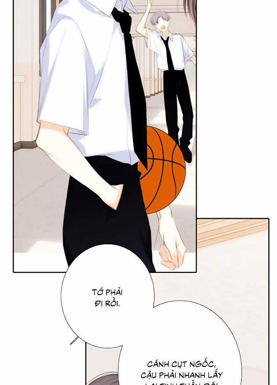 Con Tim Rung Động 3 - Chapter 38 - Trang 31