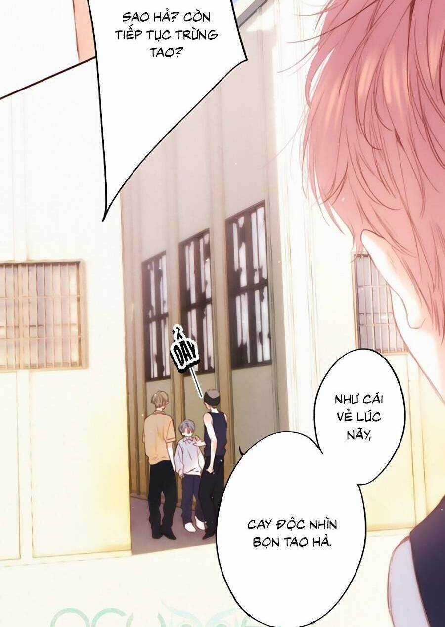 Con Tim Rung Động 3 - Chapter 41.5 - Trang 15