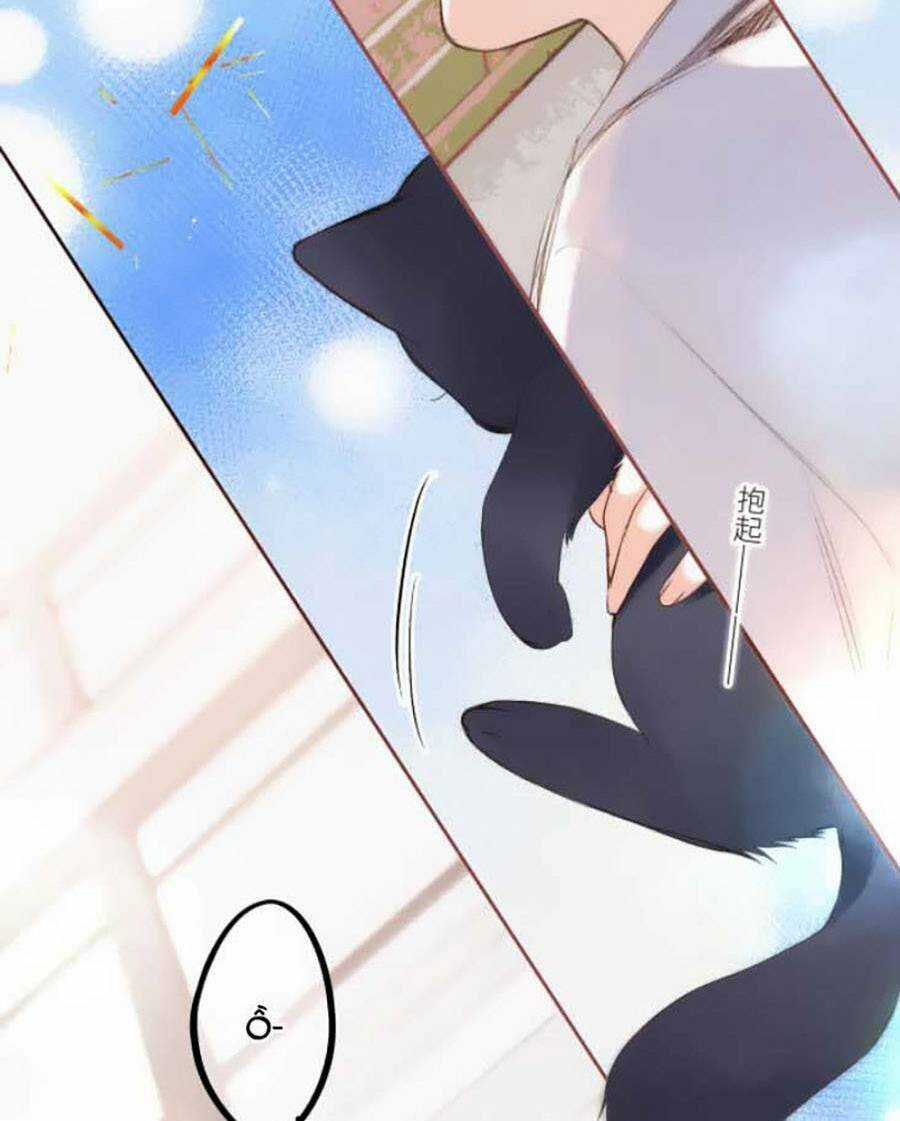 Con Tim Rung Động 3 - Chapter 41.8 - Trang 5