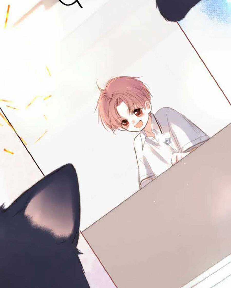 Con Tim Rung Động 3 - Chapter 41.8 - Trang 6