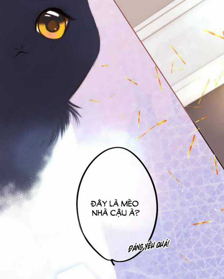 Con Tim Rung Động 3 - Chapter 41.8 - Trang 7