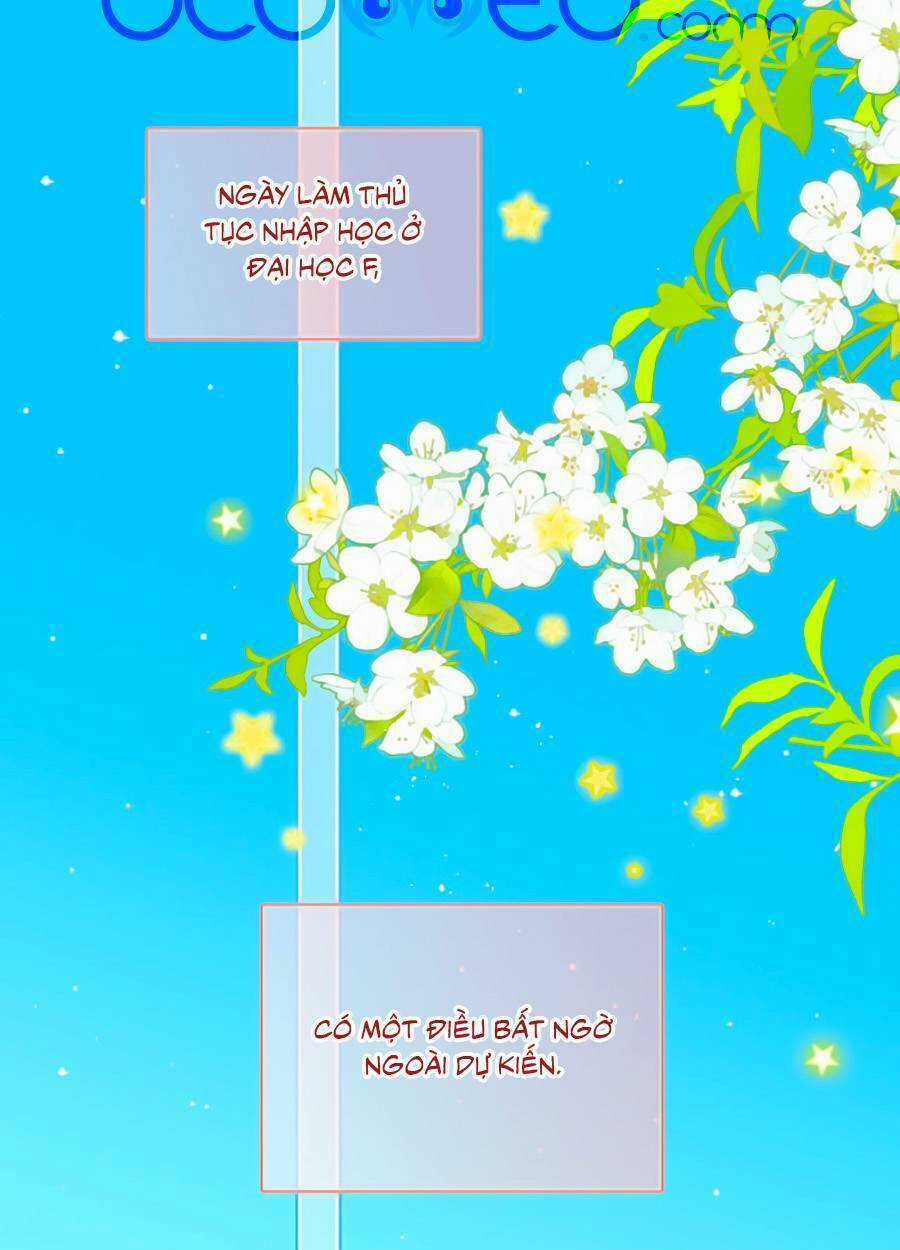 Con Tim Rung Động 3 - Chapter 41 - Trang 62