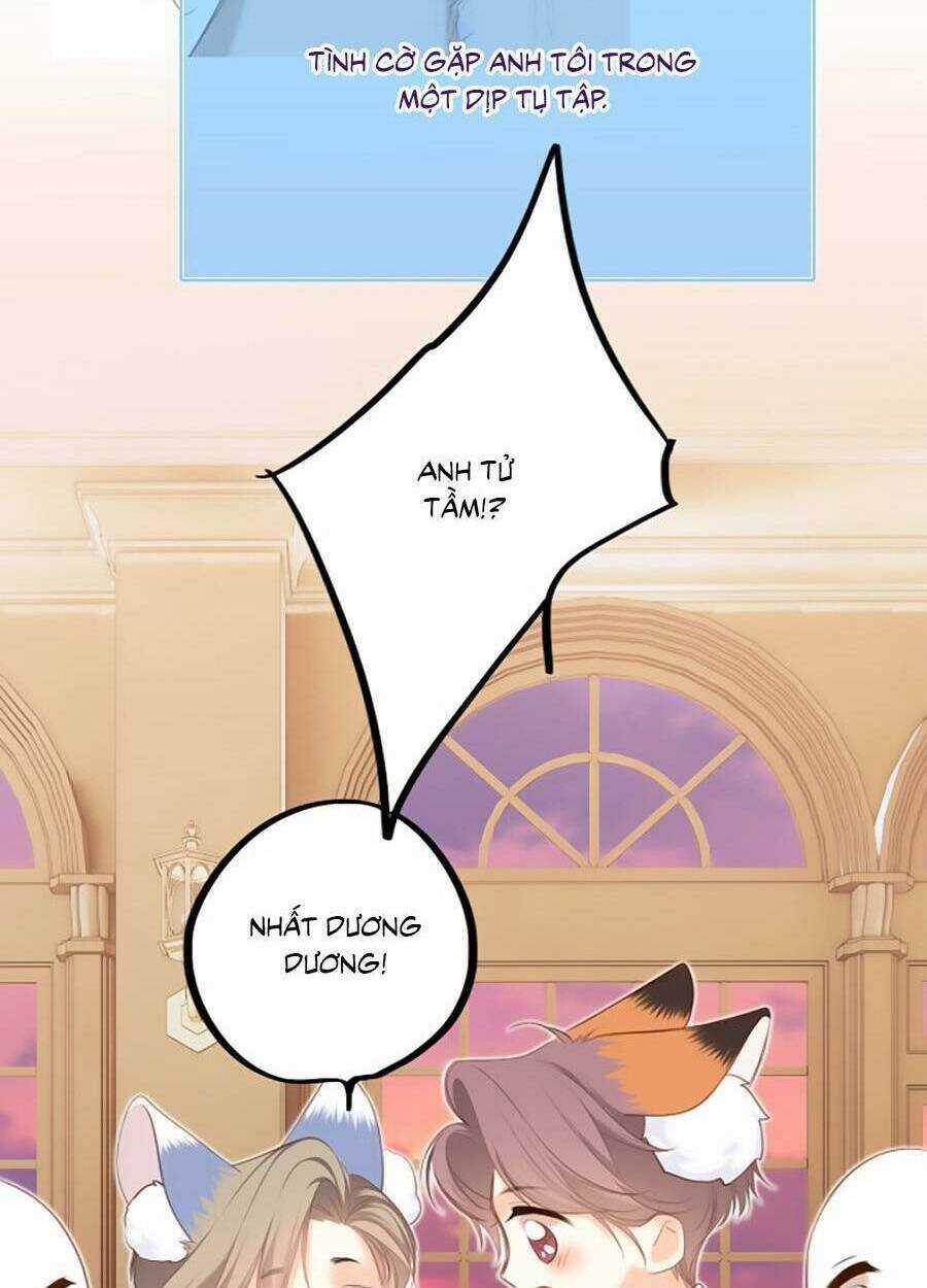 Con Tim Rung Động 3 - Chapter 41 - Trang 91