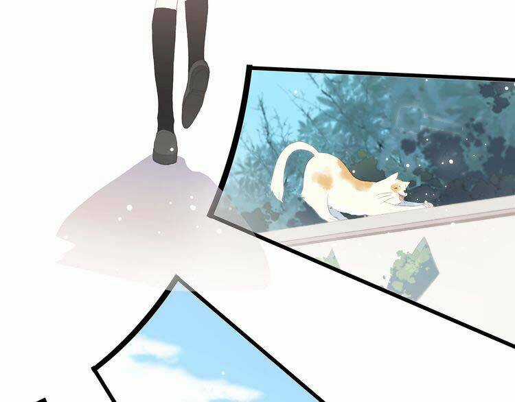 Con Tim Rung Động - Chapter 16 - Trang 20