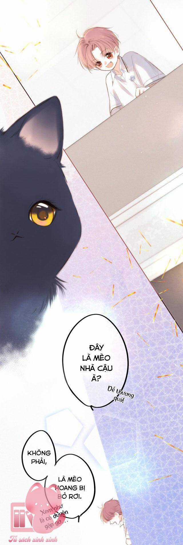 Con Tim Rung Động - Chapter 181 - Trang 4