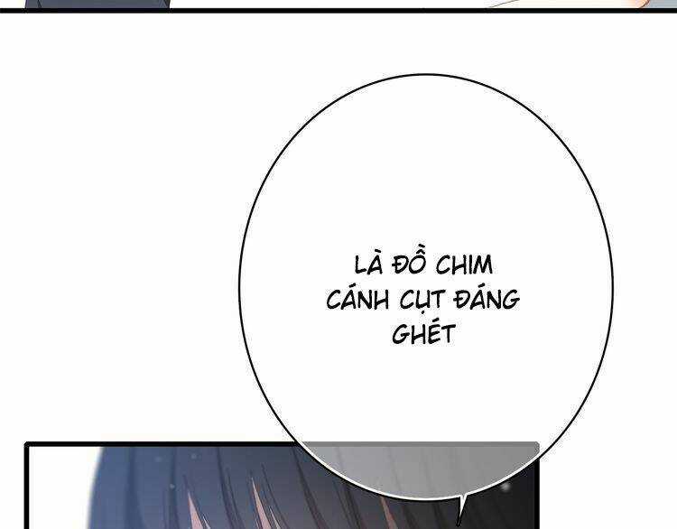 Con Tim Rung Động - Chapter 19 - Trang 19