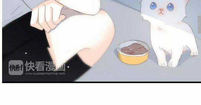 Con Tim Rung Động - Chapter 31 - Trang 11