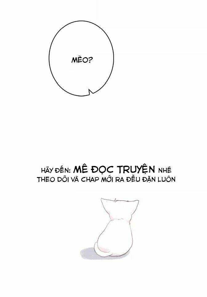 Con Tim Rung Động - Chapter 31 - Trang 28