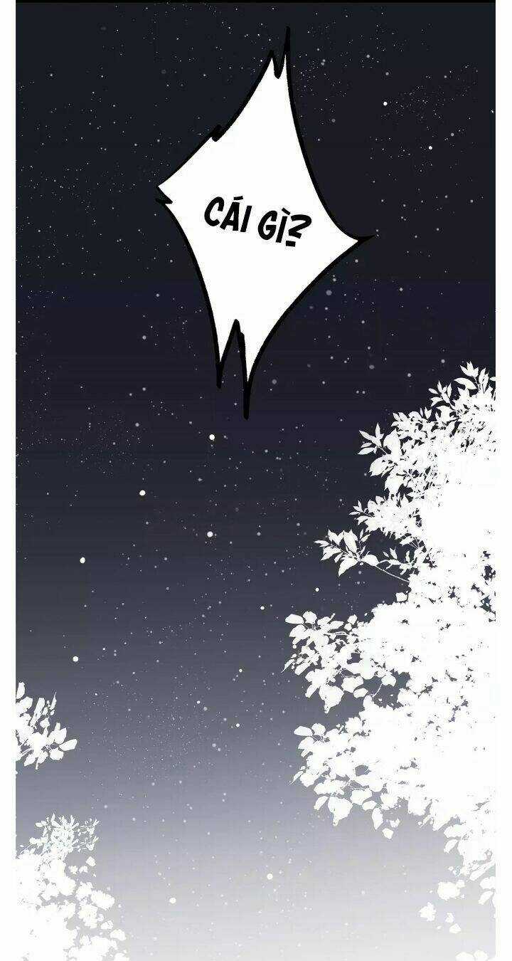 Con Tim Rung Động - Chapter 35 - Trang 37