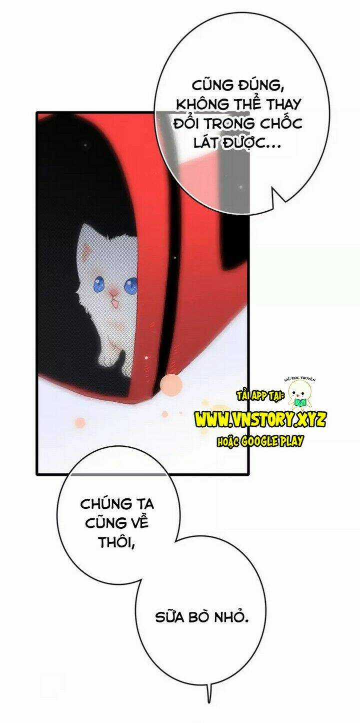 Con Tim Rung Động - Chapter 52 - Trang 21