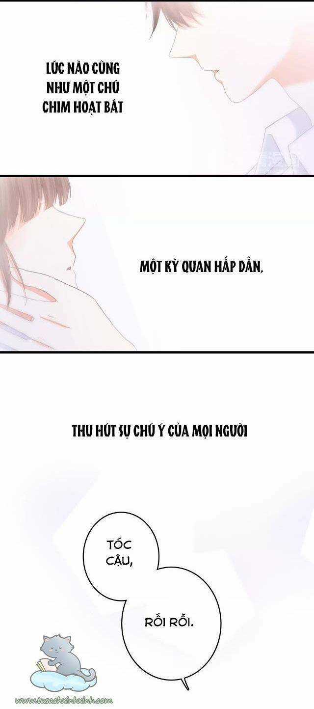 Con Tim Rung Động - Chapter 53 - Trang 29