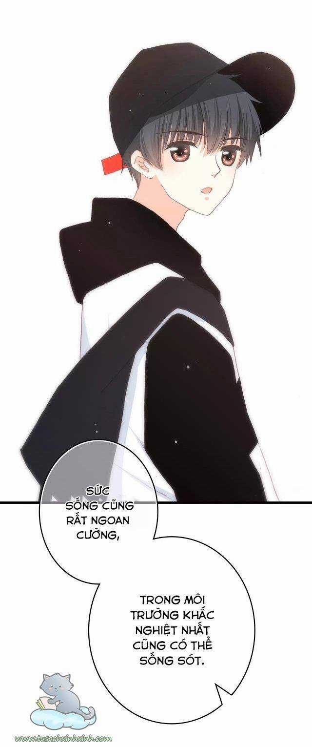 Con Tim Rung Động - Chapter 62 - Trang 16