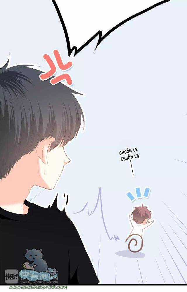 Con Tim Rung Động - Chapter 79 - Trang 21