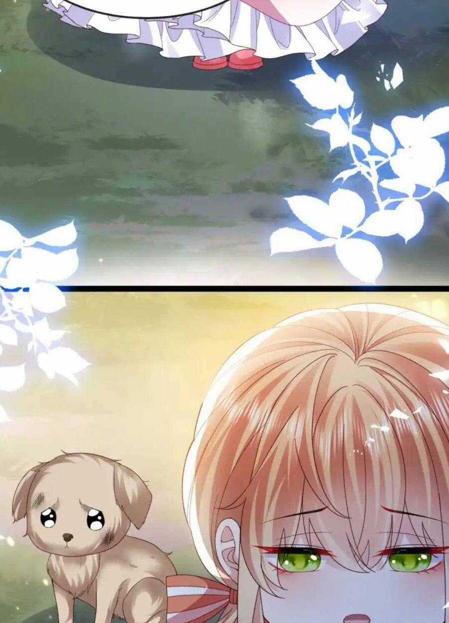 Công Chúa Bị Ruồng Bỏ - Chapter 16 - Trang 33