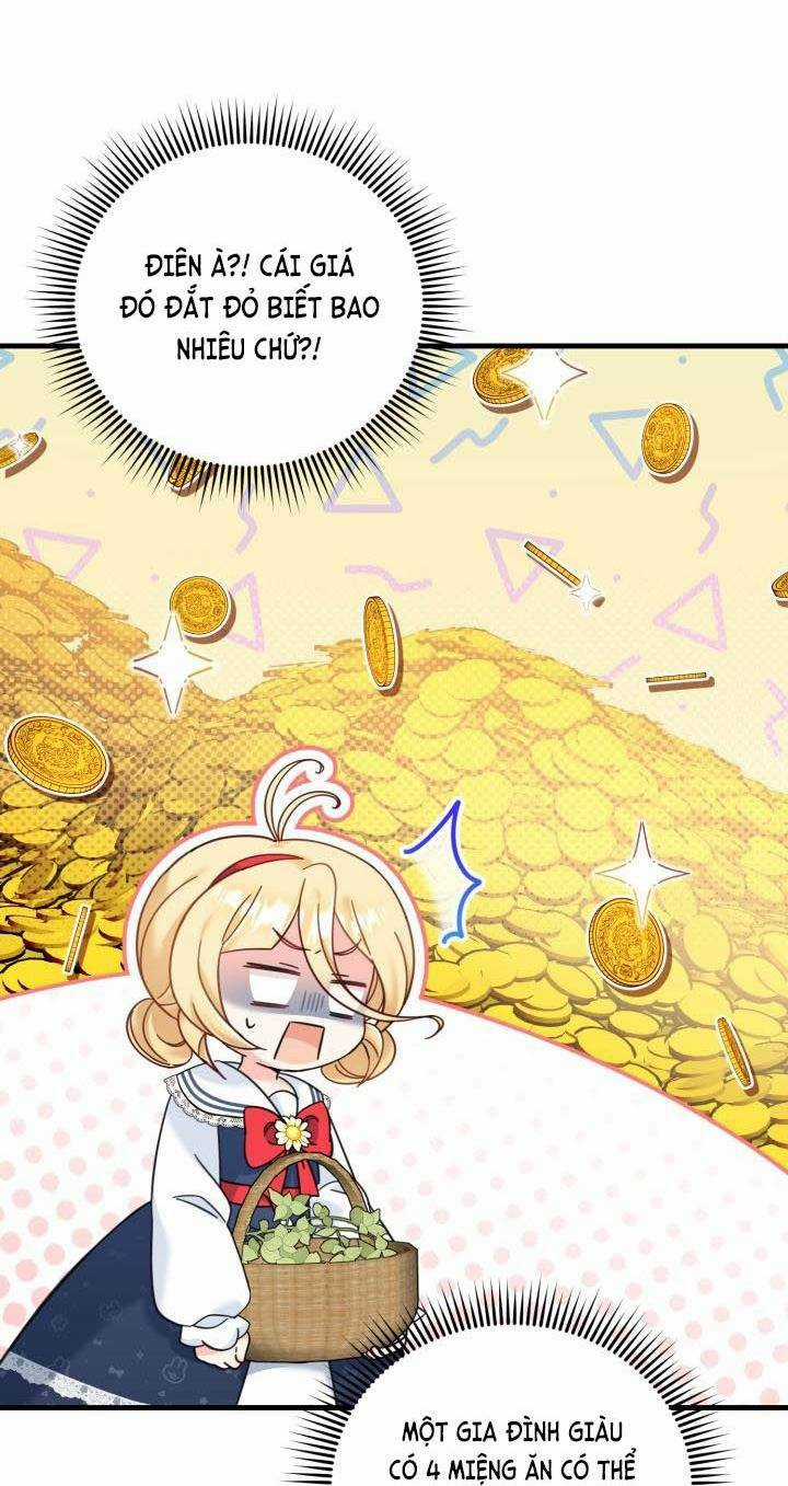 Công Chúa Dược Sĩ Bé Con - Chapter 17 - Trang 64