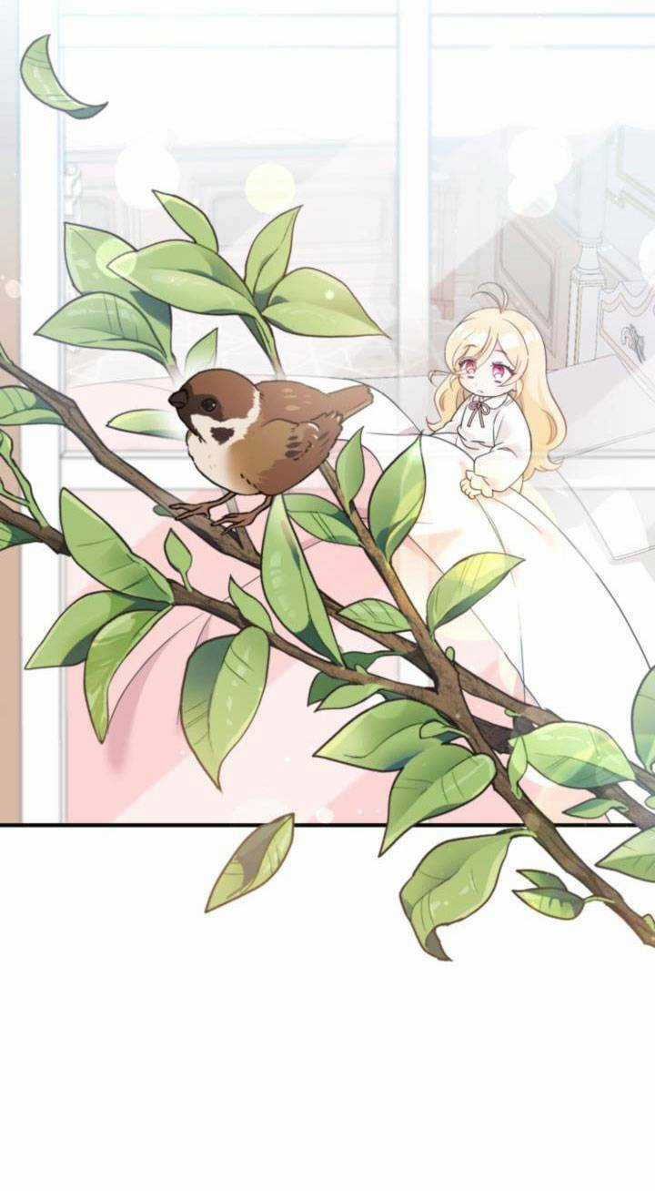 Công Chúa Dược Sĩ Bé Con - Chapter 5 - Trang 8