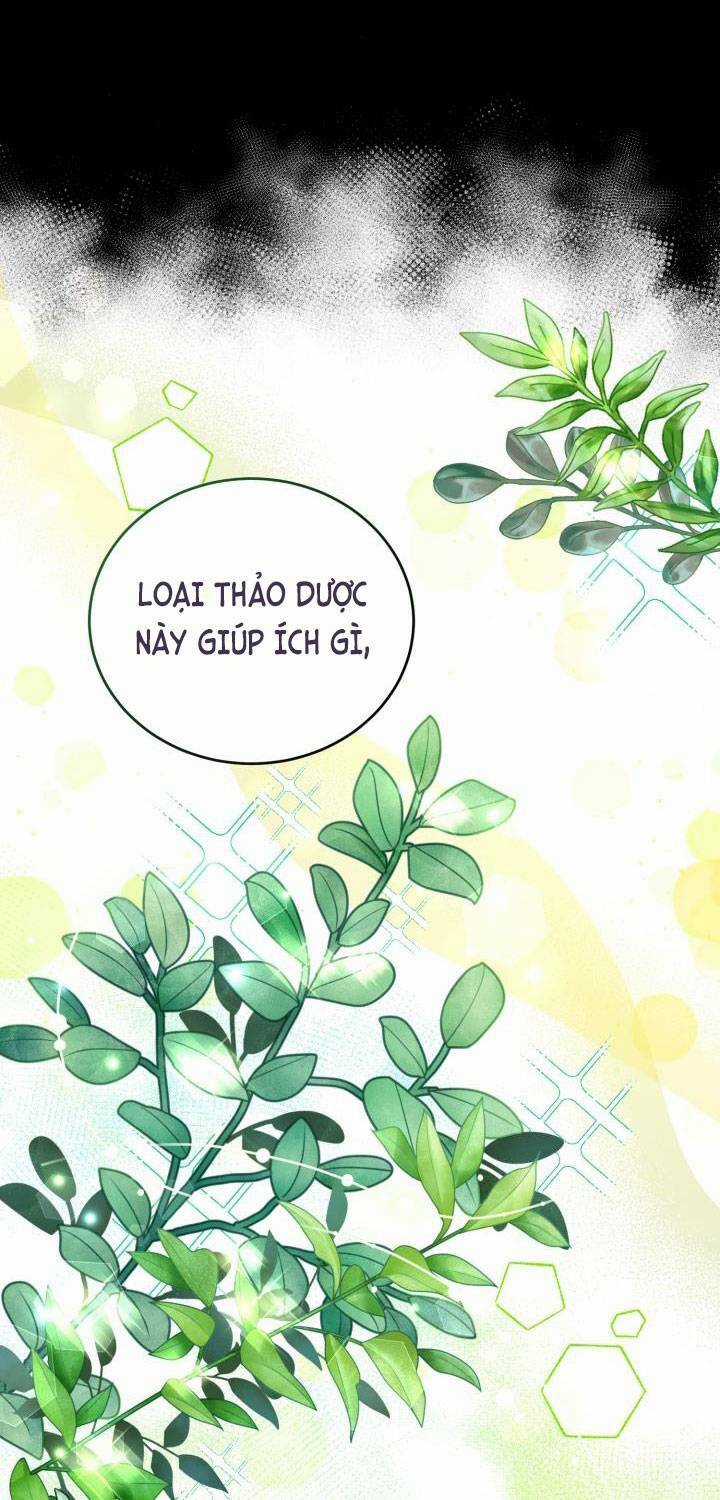 Công Chúa Dược Sĩ Bé Con - Chapter 6 - Trang 24