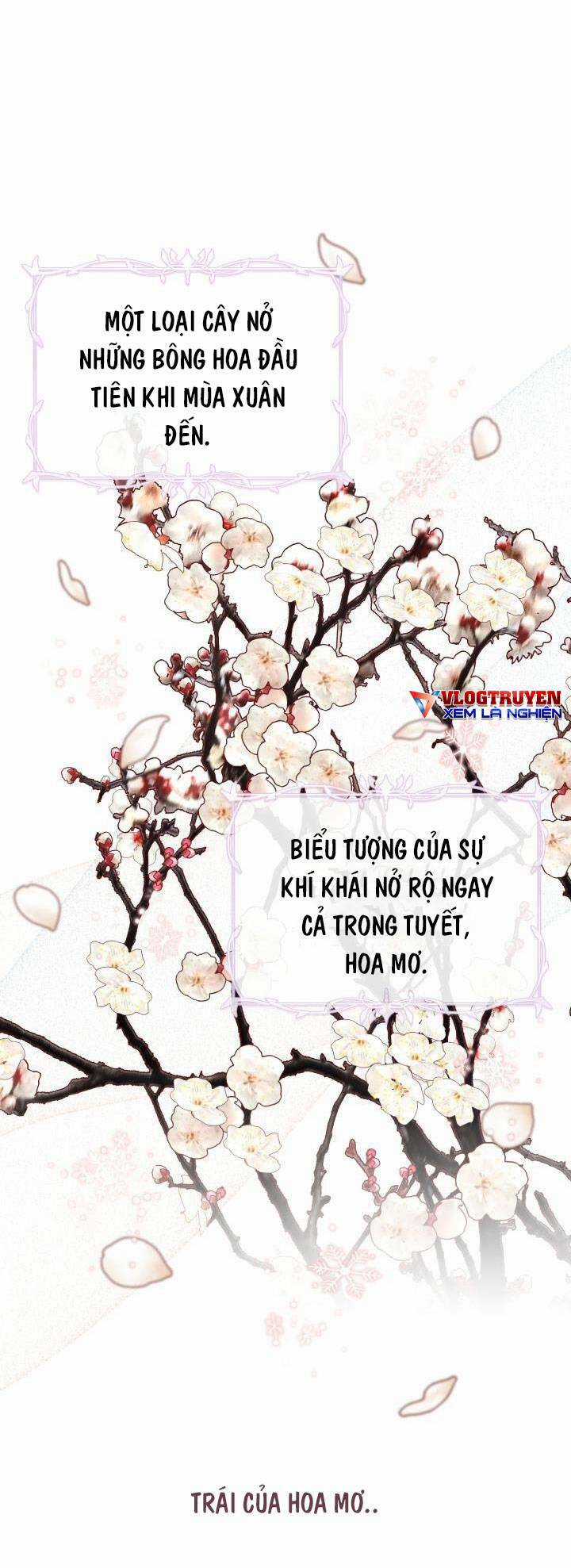Công Chúa Dược Sĩ Bé Con - Chapter 7 - Trang 29