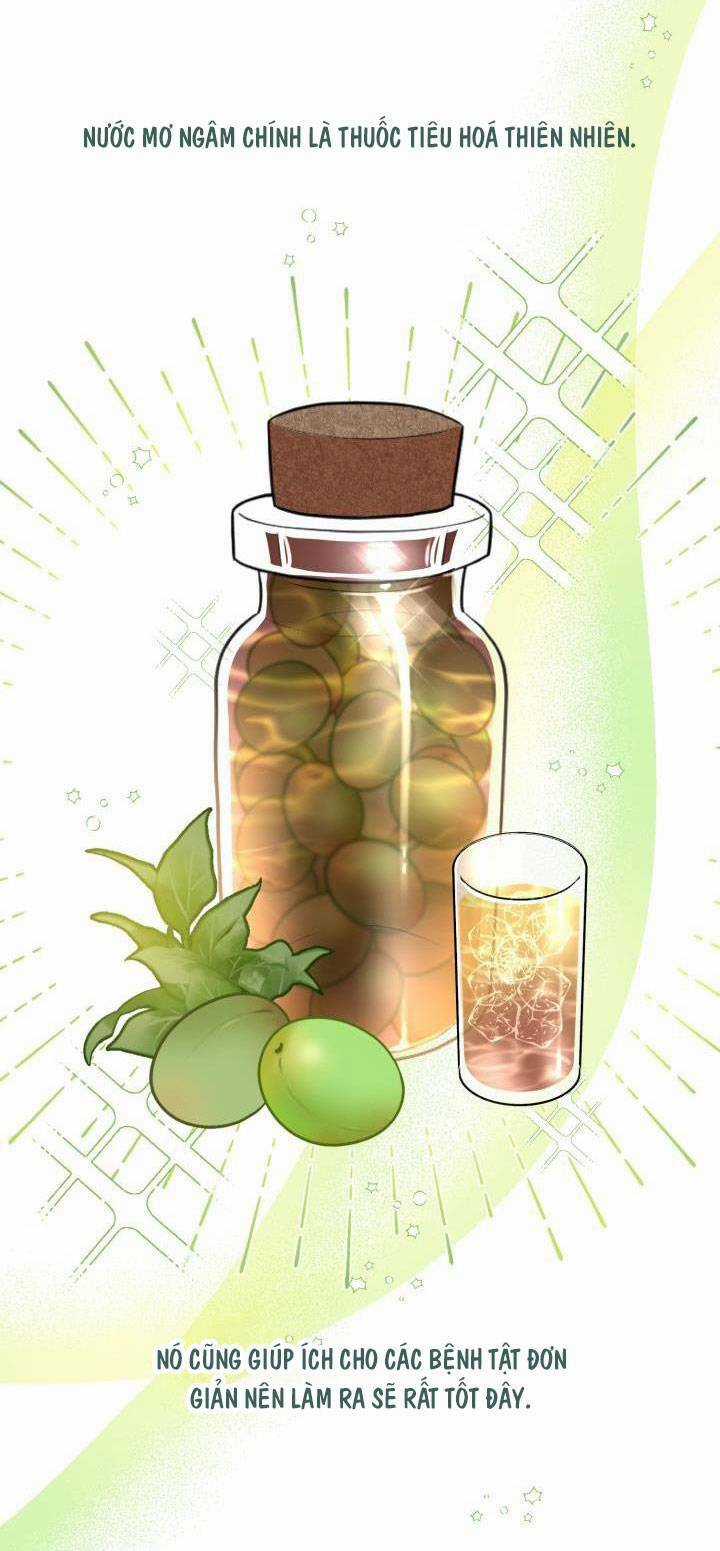 Công Chúa Dược Sĩ Bé Con - Chapter 7 - Trang 31