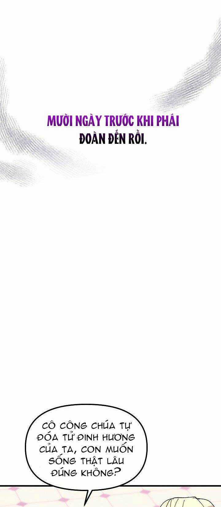 Công Chúa Giả Điên - Chapter 5 - Trang 25