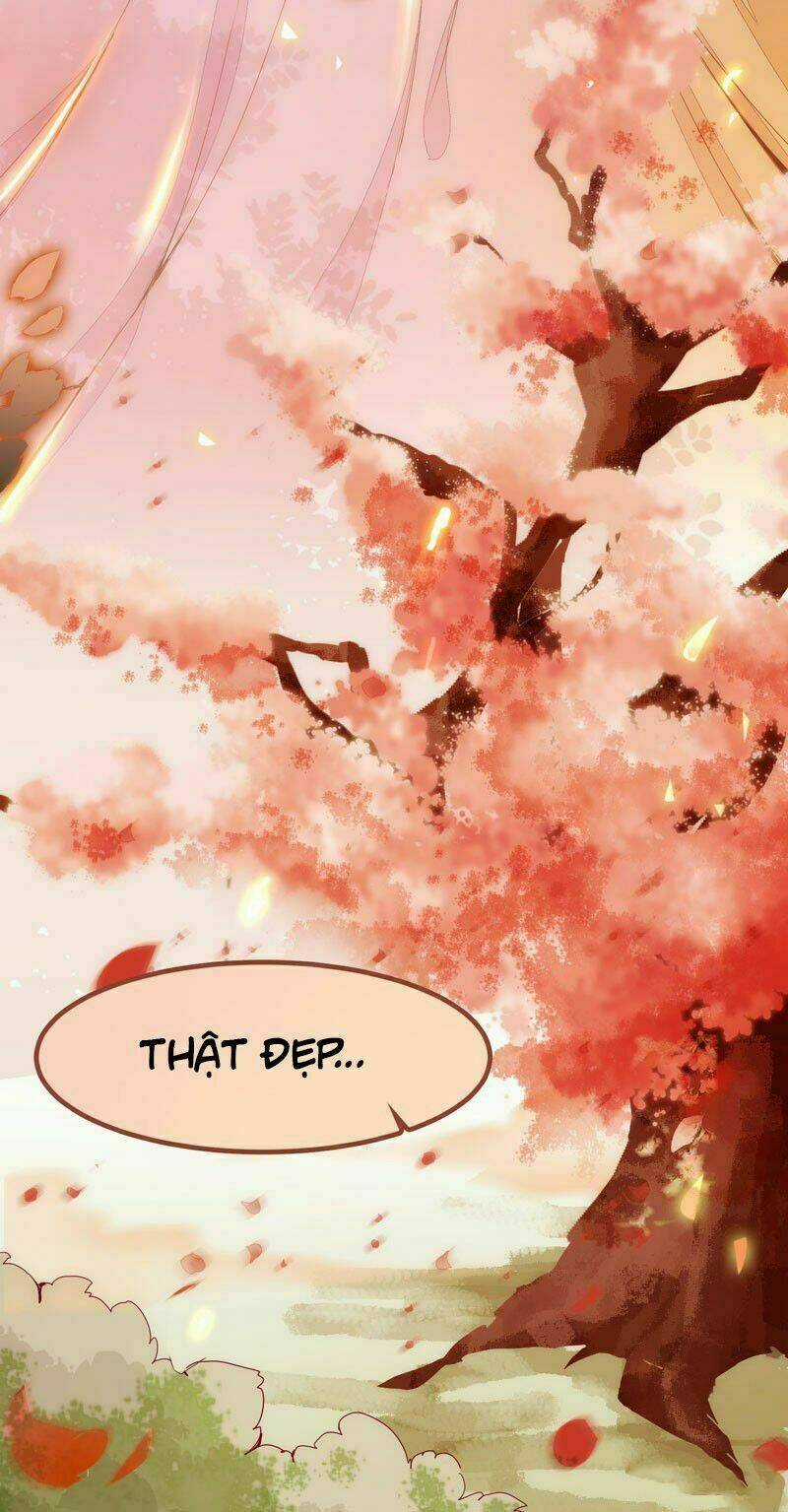 Công Chúa Là Nam Nhân - Chapter 1 - Trang 48