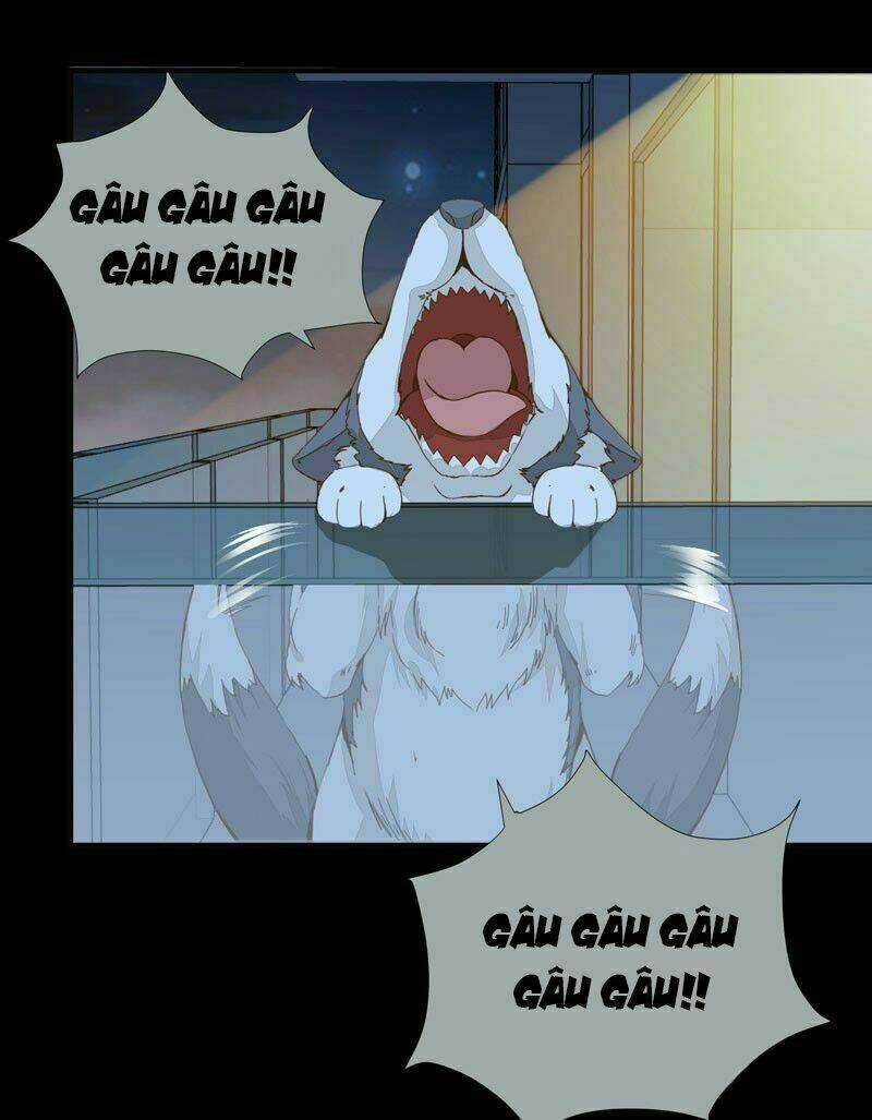 Công Chúa Là Nam Nhân - Chapter 1 - Trang 7