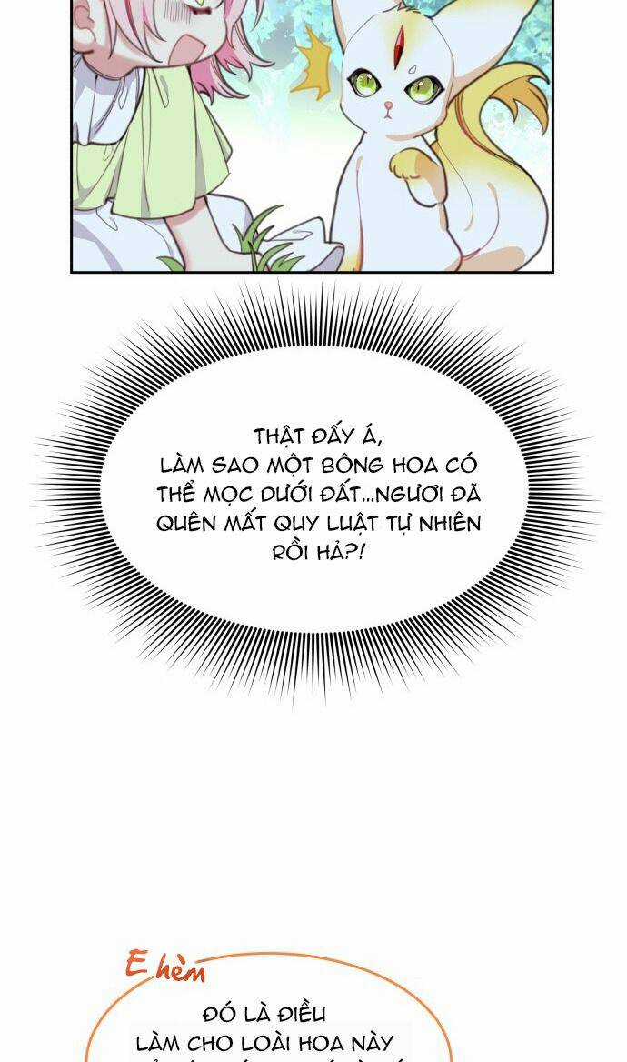 Công Chúa Lotto - Chapter 31 - Trang 11