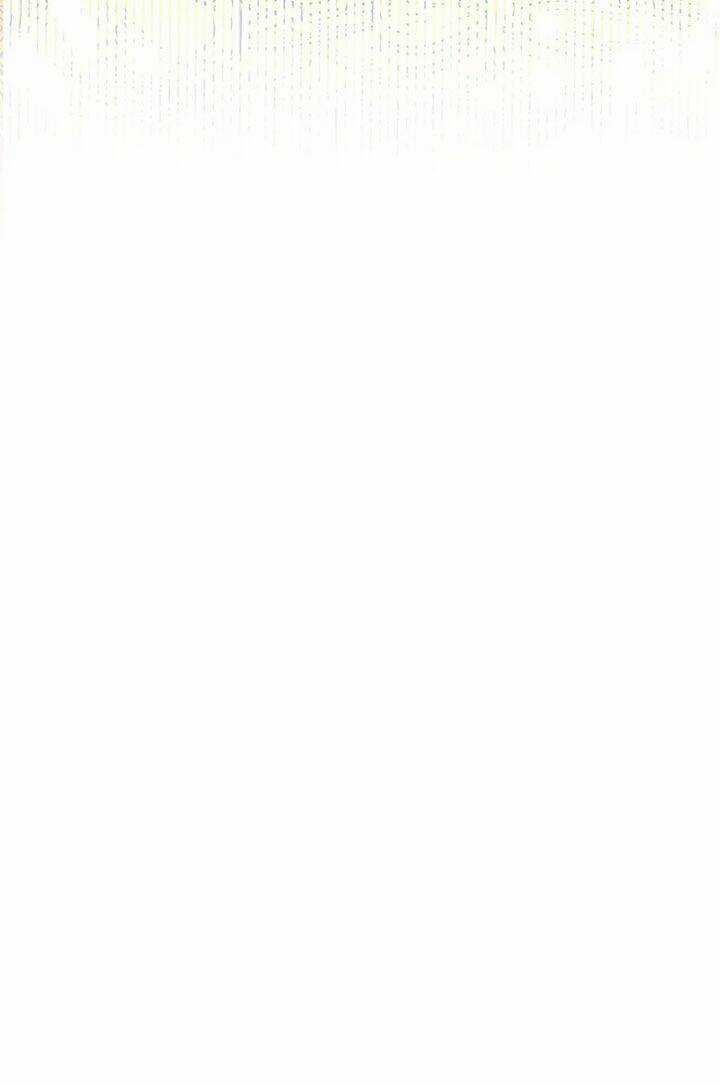 Công Chúa Thời Gian Có Hạn - Chapter 44 - Trang 48