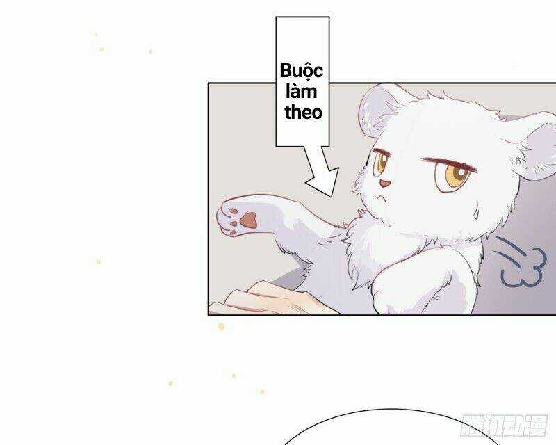 Công Lược Của Mami - Chapter 2 - Trang 16