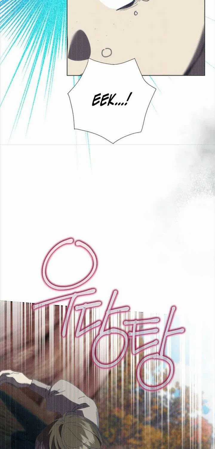 Công Nữ Tái Sinh - Chapter 65 - Trang 19