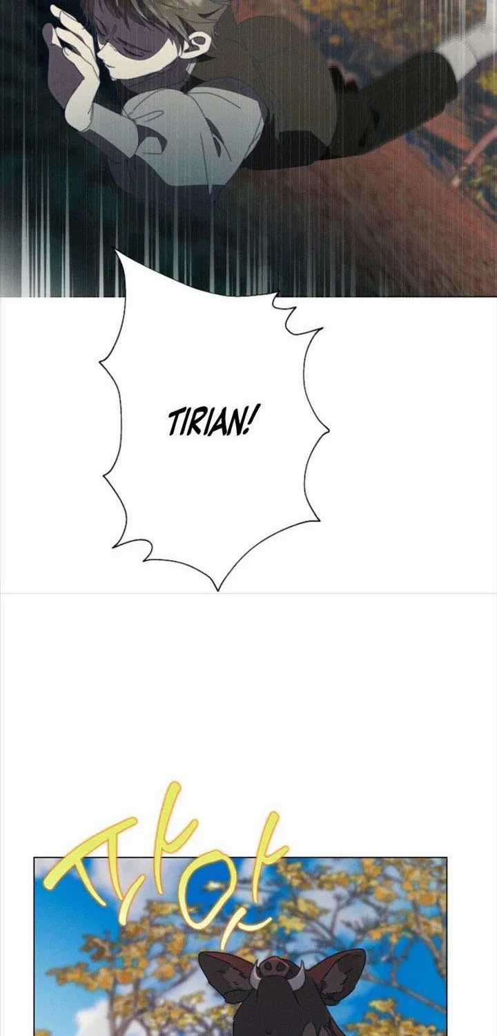 Công Nữ Tái Sinh - Chapter 65 - Trang 20